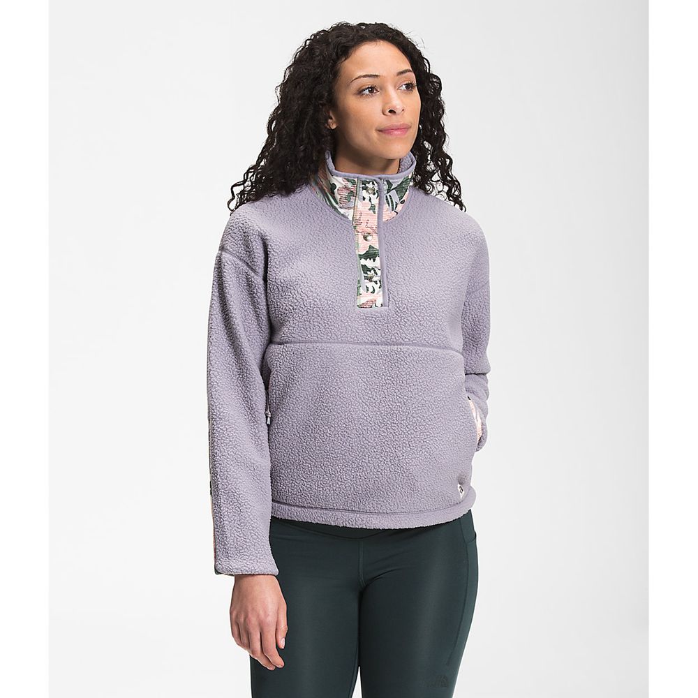 The North Face Fleece Jacket Womens Australia - The North Face Cragmont ¼ Snap Grey / Green (HKL-870